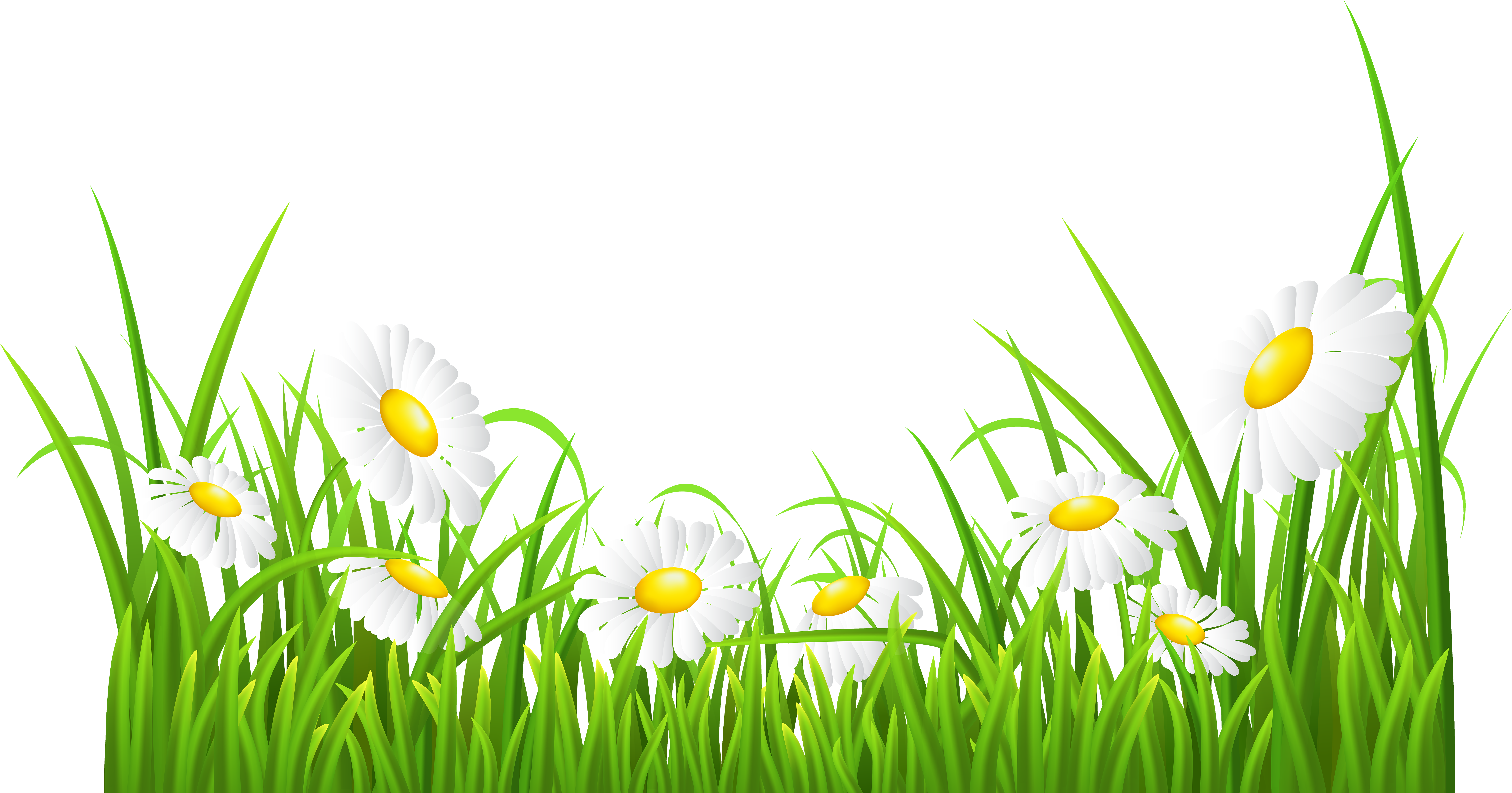 grass with flower clipart