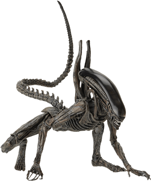 Xenomorph Alien Png - Alien Xenomorph Action Figure - Free Transparent ...