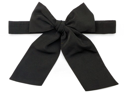 Download Black Bow Ribbon Png Picture - Portable Network Graphics PNG ...