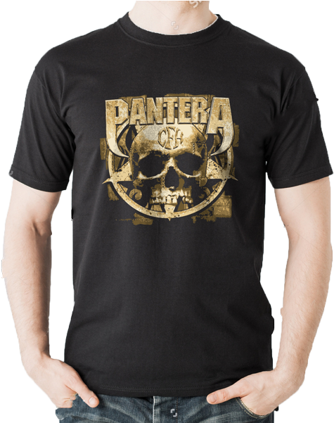 Download Pantera Cowboys From Hell PNG Image with No Background ...