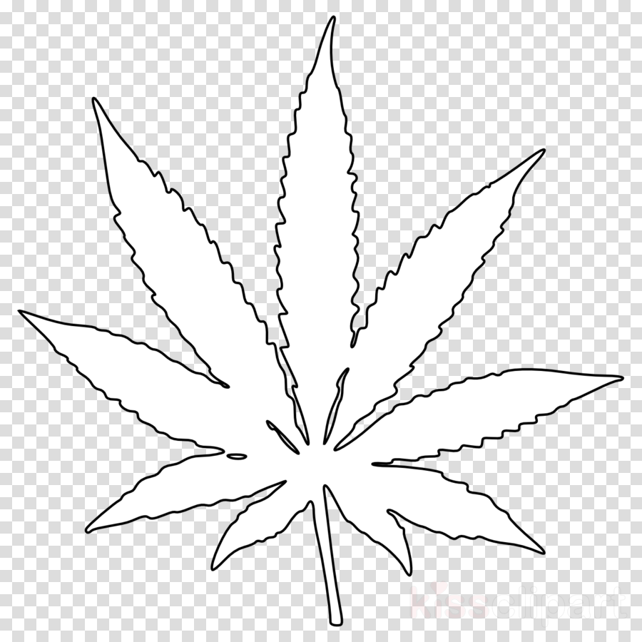 Marijuana Leaf White Png Clipart Cannabis Clip Art - Free Transparent ...