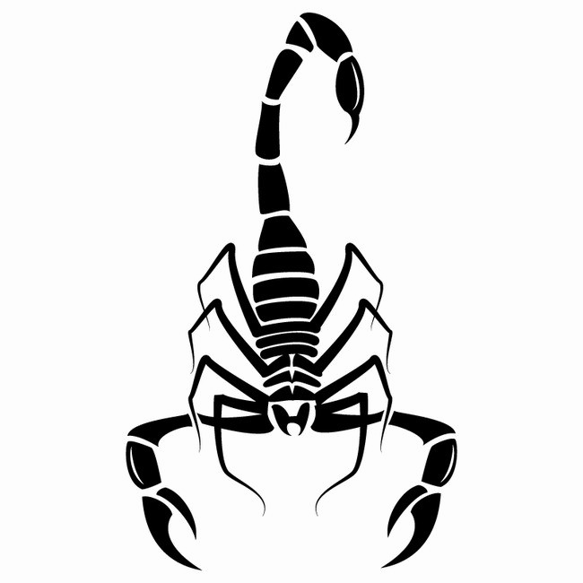 Download Scorpio Png Image Background Scorpions Tail Vector Png Image With No Background Pngkey Com