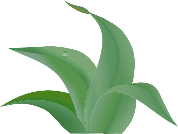 Jungle Leaves Clip Art - Leaf - Free Transparent PNG Download - PNGkey