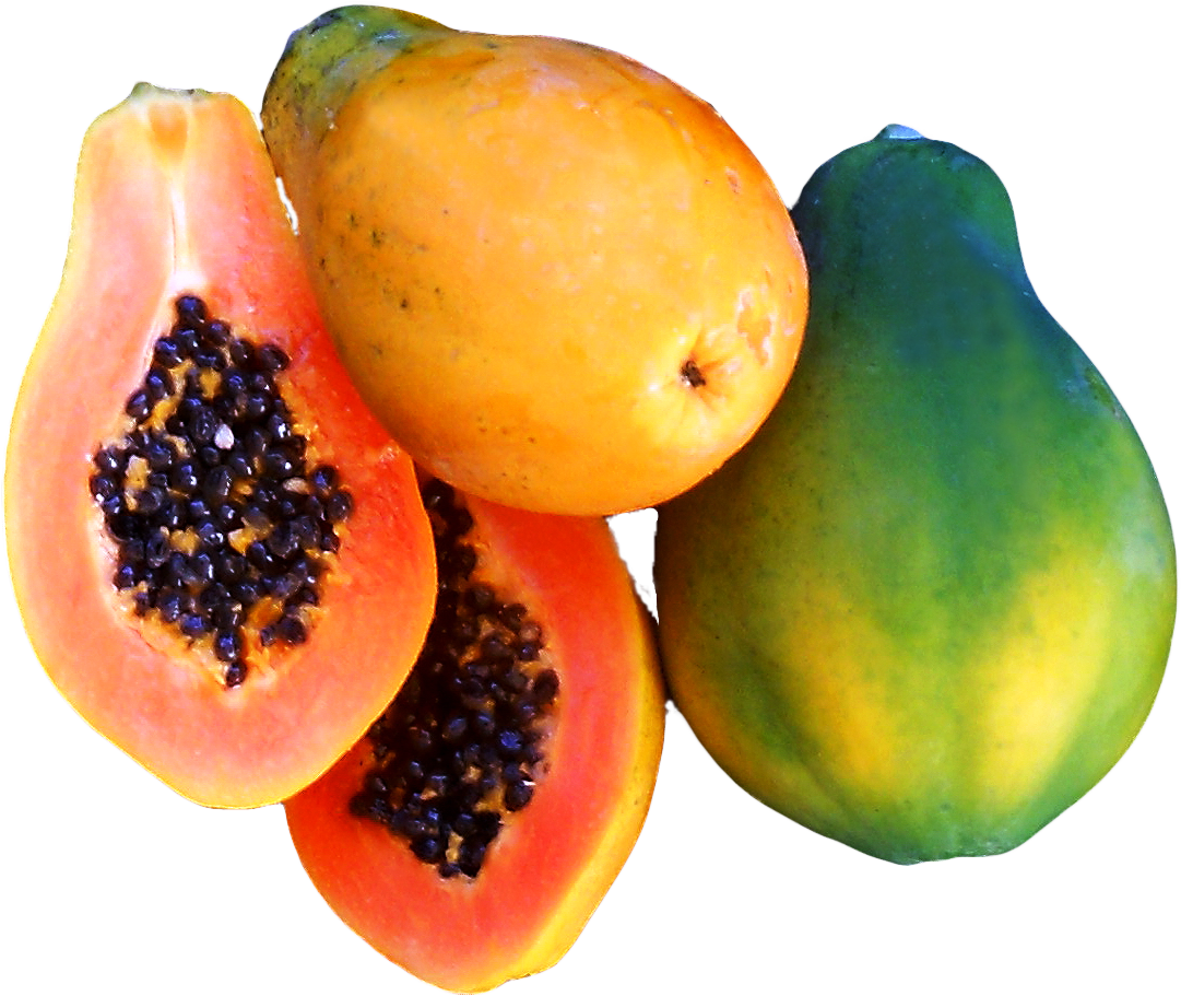 Fresh Papaya Png Papaya Free Transparent Png Download Pngkey