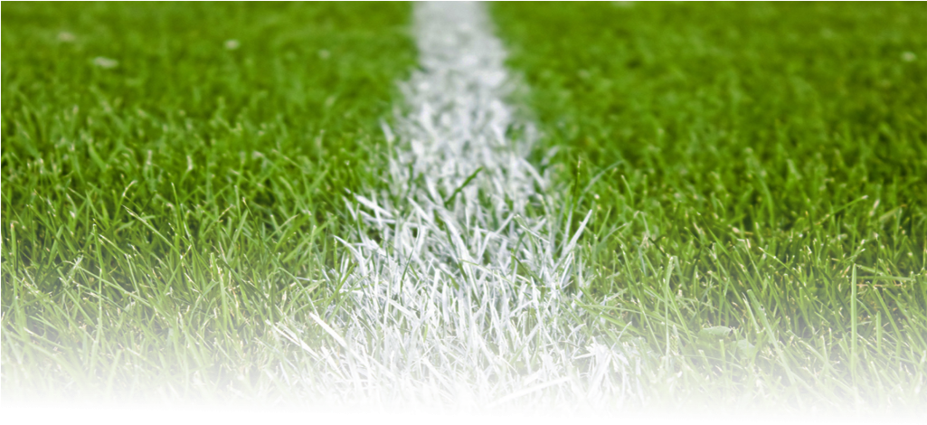 Download Football Grass Png Football Pitch Grass Png Png Image With No Background Pngkey Com