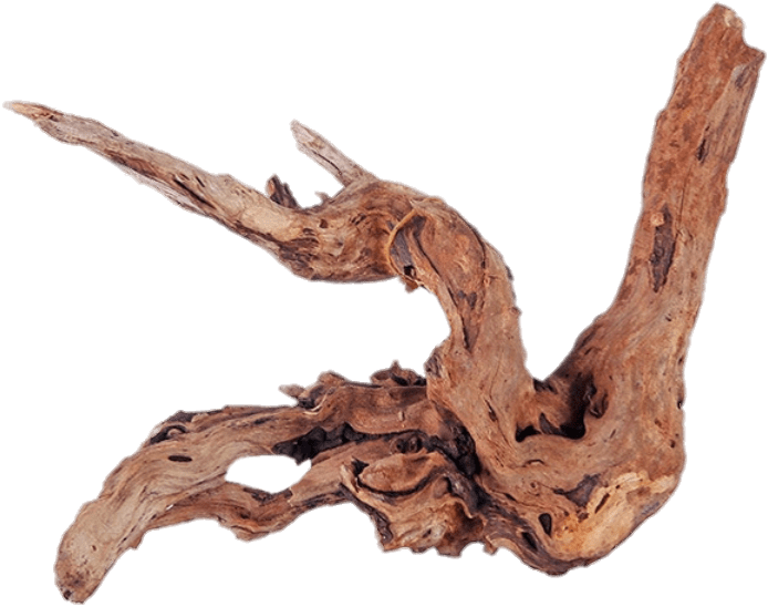 Download Driftwood PNG Image with No Background - PNGkey.com