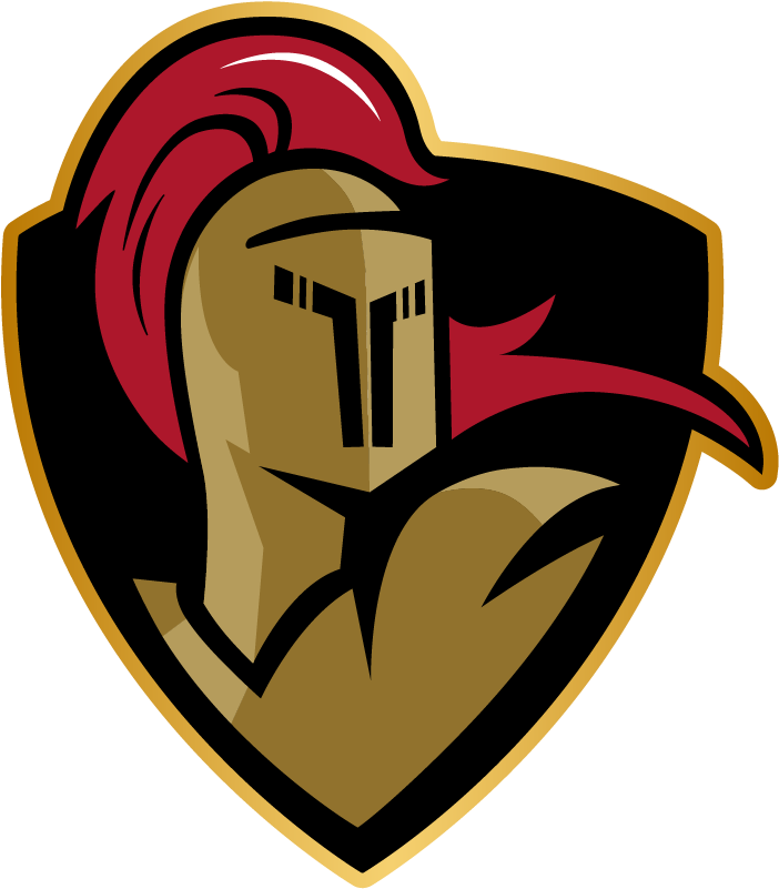 Download Crusader Helmet Png PNG Image with No Background - PNGkey.com