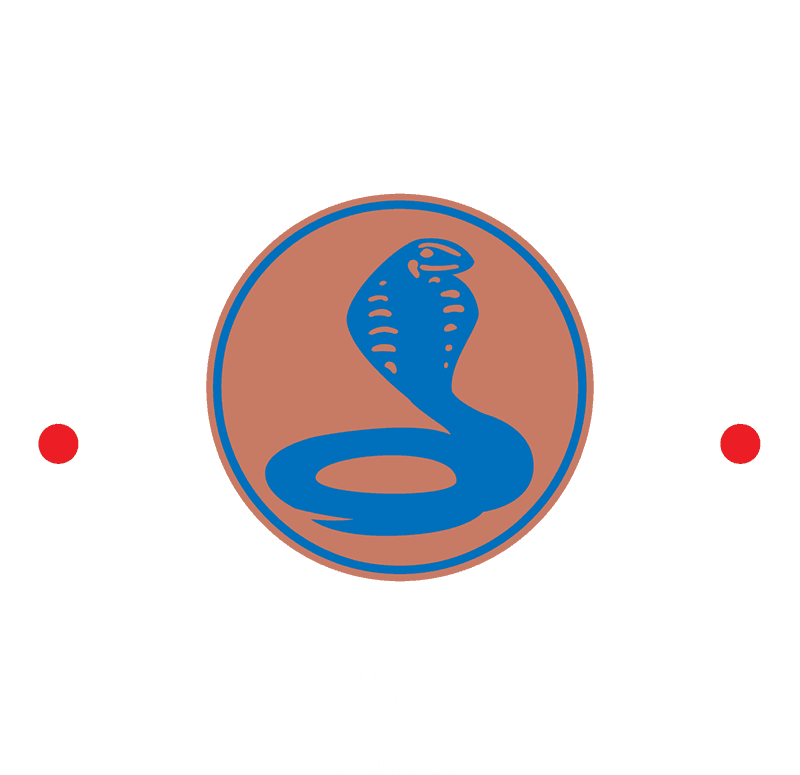 Download Blue Cobra Logo - Logo PNG Image with No Background - PNGkey.com