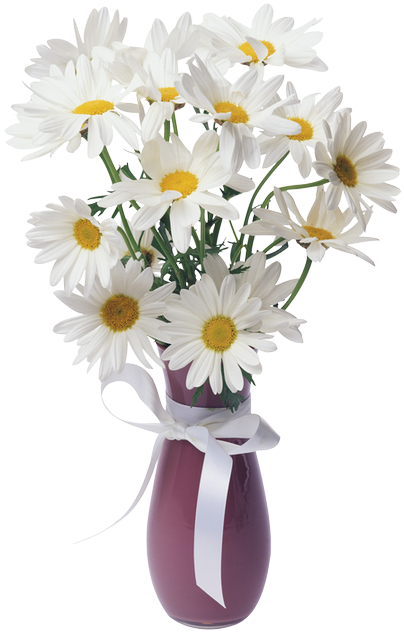 Download Flower Vase Png Transparent PNG Image with No Background ...