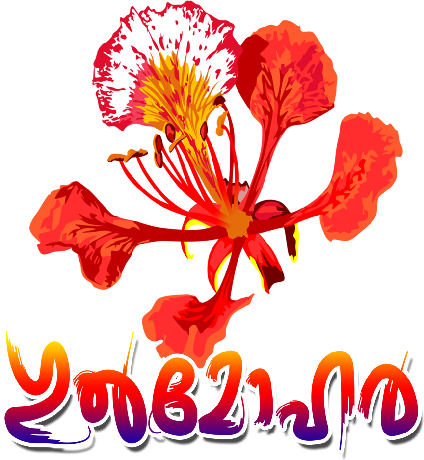 Gulmohar - Flower Royal Poinciana (931x972), Png Download