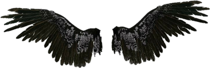 Fallen Angel Wings Png - Free Transparent PNG Download - PNGkey