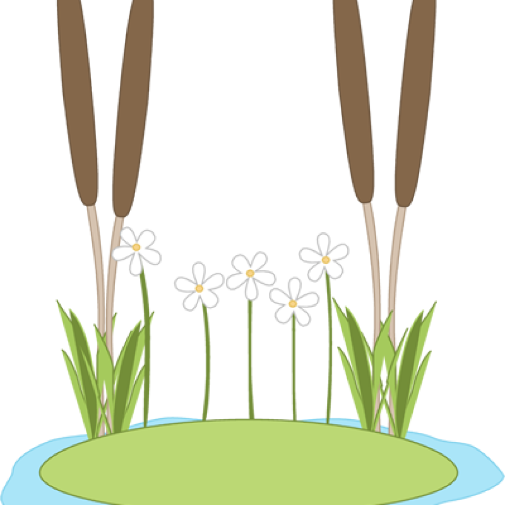 Download Pond Clipart Lily Pad Clipart Clip Art Png Image With No Background Pngkey Com