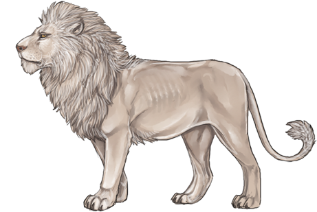 Oldlionday - White Lion Lioden - Free Transparent PNG Download - PNGkey