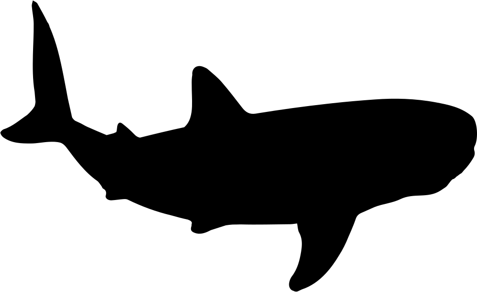 Free Free 203 Shark Outline Svg SVG PNG EPS DXF File