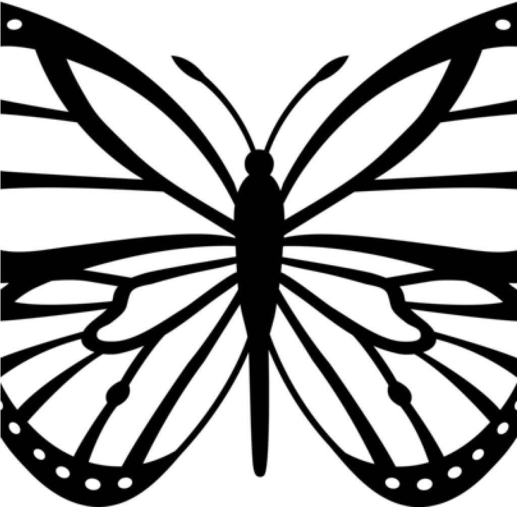Download Butterfly Outline Clipart Butterfly Outline Clipart ...