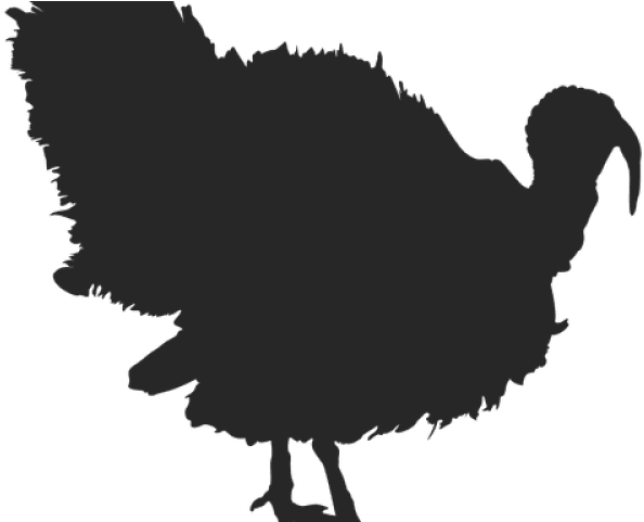 Turkey Bird Clipart Traceable - Silhouette Turkey Clipart Black And ...