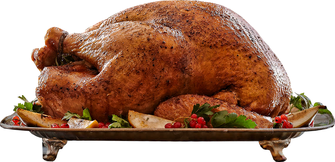Download Cooked Thanksgiving Turkey Png Png Image With No Background Pngkey Com