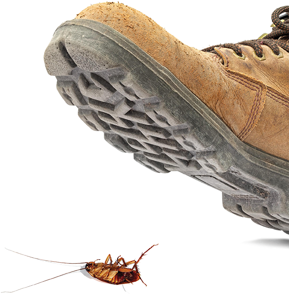 Stepping On A Bug (624x624), Png Download