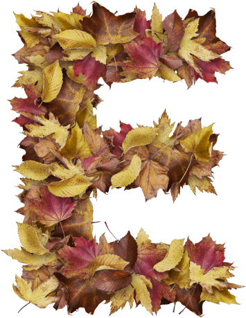 Download Letter E From Dry Leaves - Prince Of Wales Feathers PNG Image ...