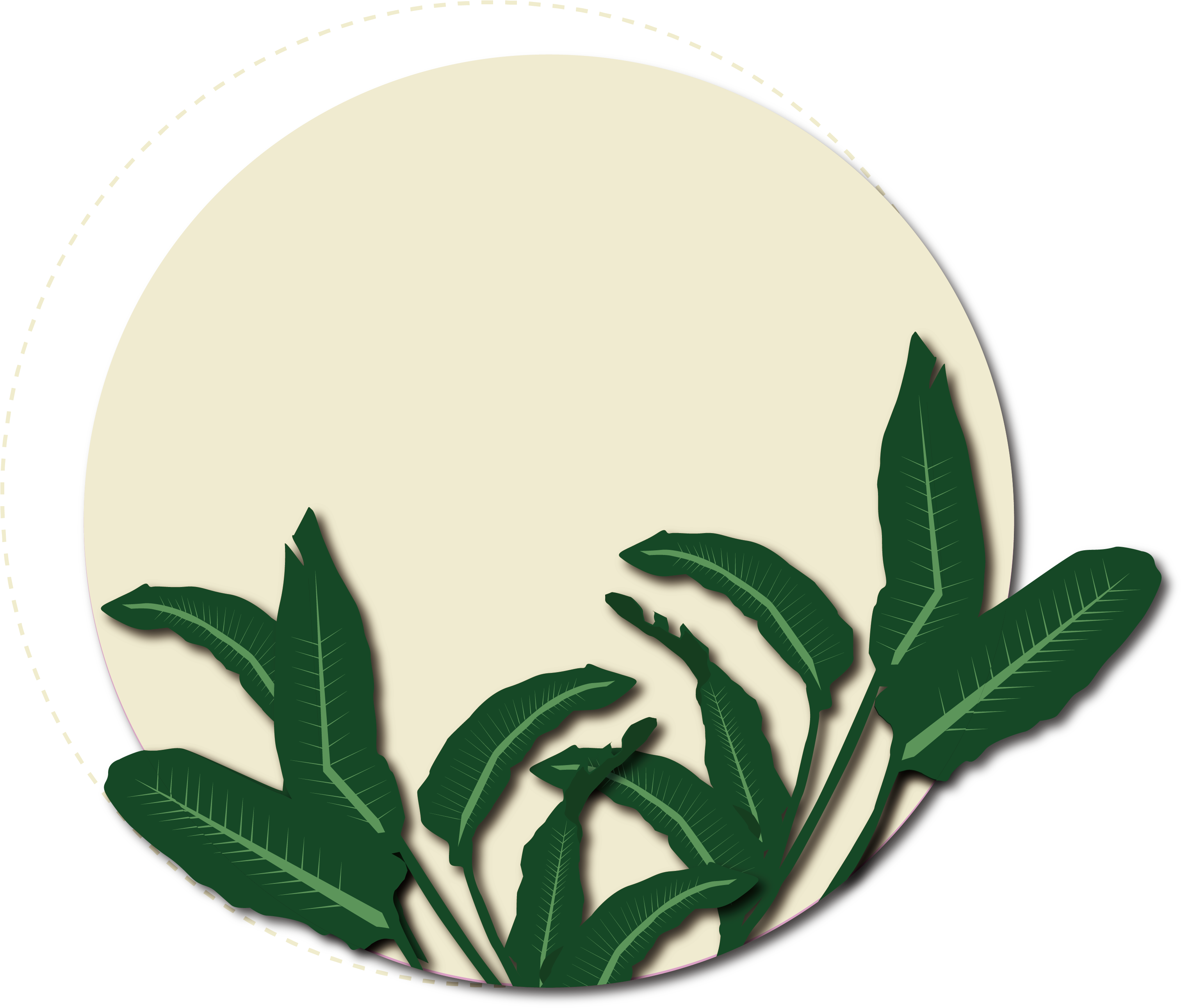 Download 矢量绿色植物黄色背景 Circle Png Image With No Background Pngkey Com