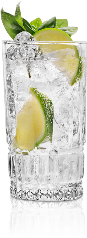 Download The St~germain Gin & Tonic - Mojito PNG Image with No ...