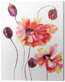 Download Beautiful Poppy Flowers, Watercolor Painting Canvas - Let Go ...