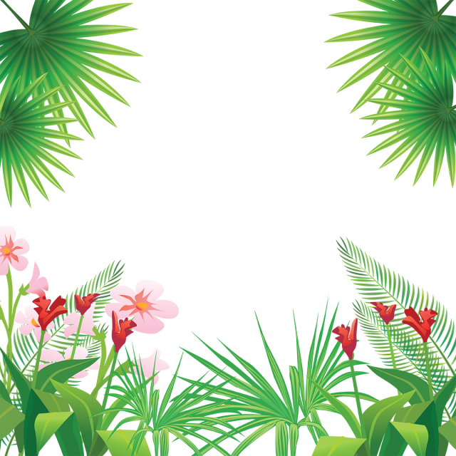 Download Tropical Leaves Png Images Tropical Frame Png Png Image With No Background Pngkey Com