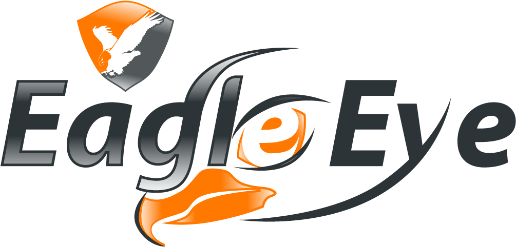 Eagle Eyes Logo - Eagle Eye - Free Transparent PNG Download - PNGkey