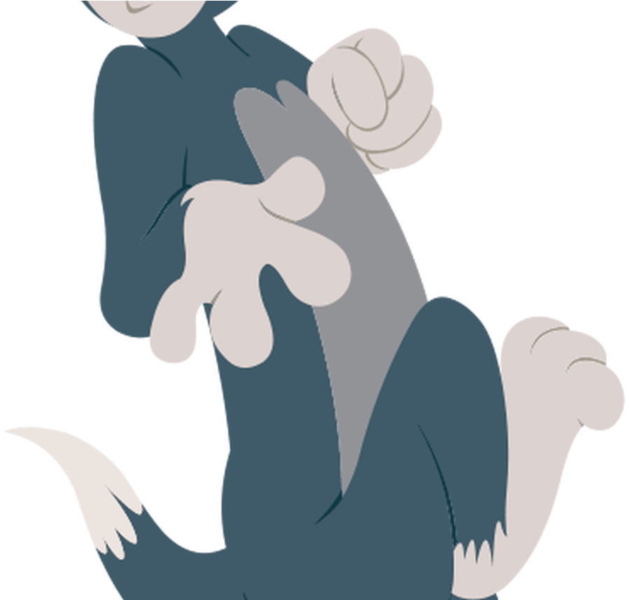 Tom From Tom And Jerry (1368x855), Png Download