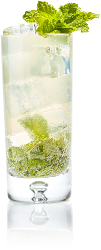 Download A Havenly Mojito - Mint Julep PNG Image with No Background ...