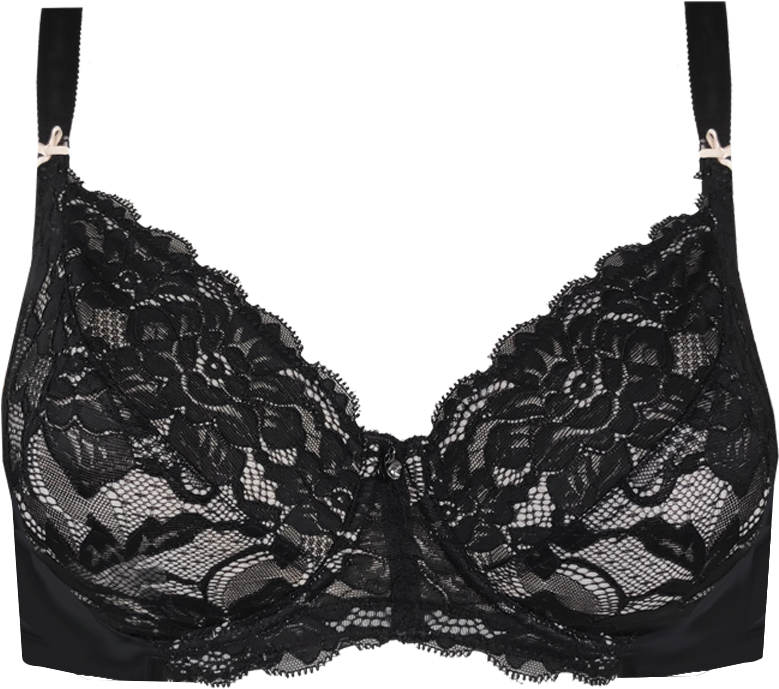 https://www.pngkey.com/png/full/810-8101183_support-special-edition-contrast-lace-bra-midnight-bra.png