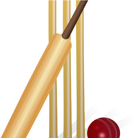 Download Cricket Ball Clipart Fire - Clipart Cricket The Sport PNG ...