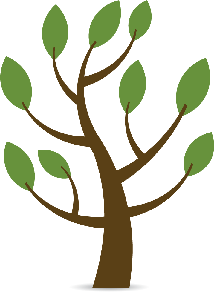 Download - Arvore Da Familia Png - Tree PNG Image with No Background ...