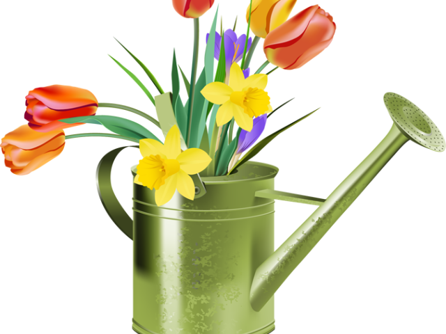 informationsfluss clipart flower