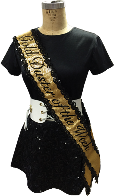 Sash - Costume - Free Transparent PNG Download - PNGkey