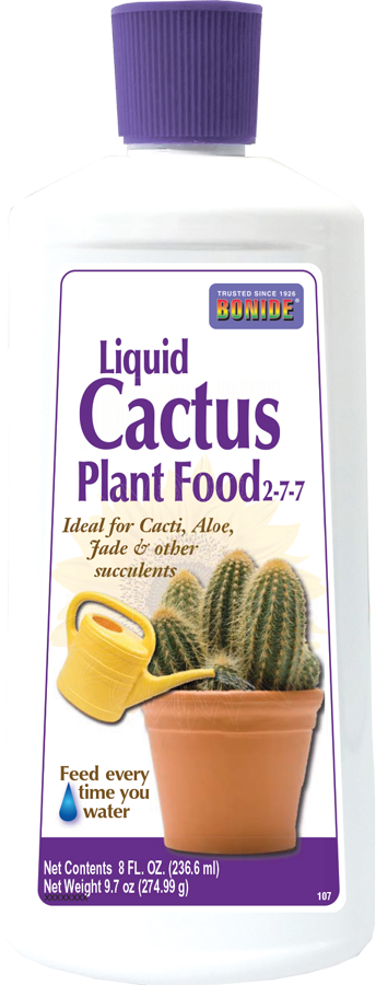 Cactus Food - Cactus (344x900), Png Download