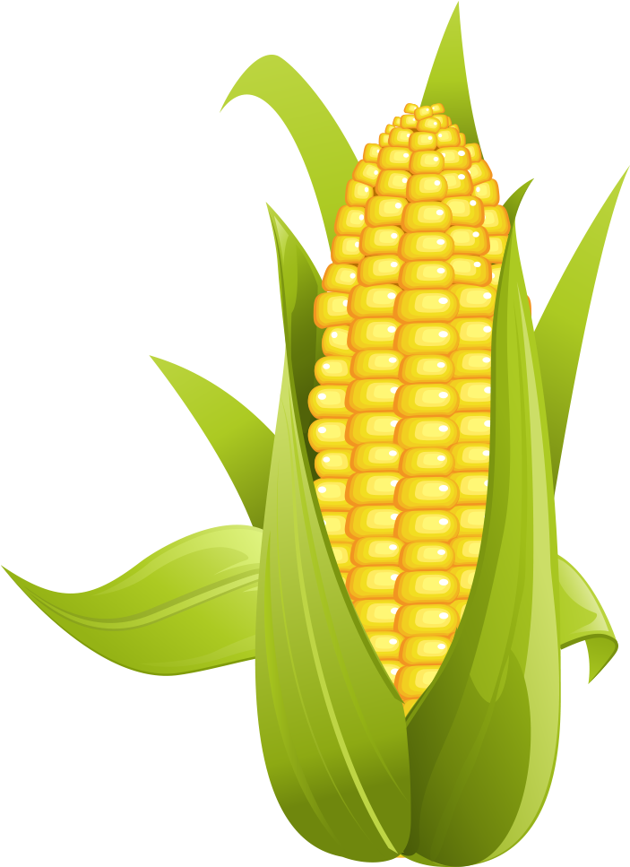 Corn On The Cob Sweet Clip Art - Corn Png - Free Transparent PNG ...