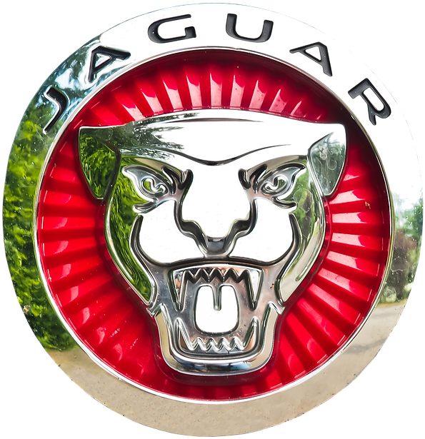 Download Jaguar Logo PNG Image with No Background - PNGkey.com