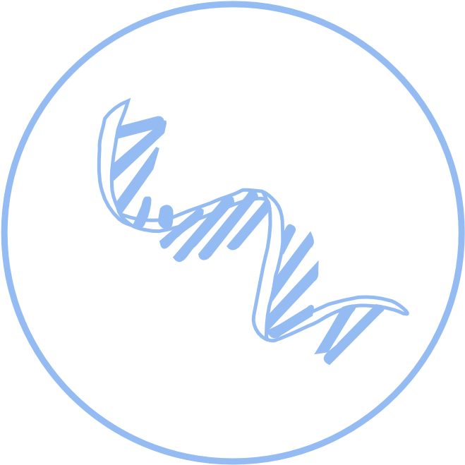 Download Efficient Packer Of Dna Wraps Dna Around Histone Proteins ...