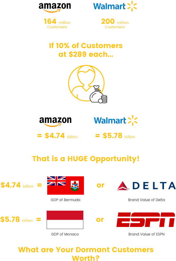 Download Customer Engagement What Is A Dormant Customer Worth ...