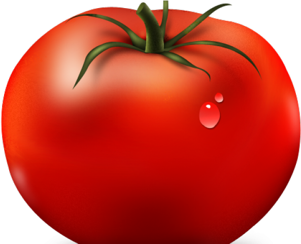 Download Healthy Food Clipart Tomate Tomato Icon Png Png Image With No Background Pngkey Com