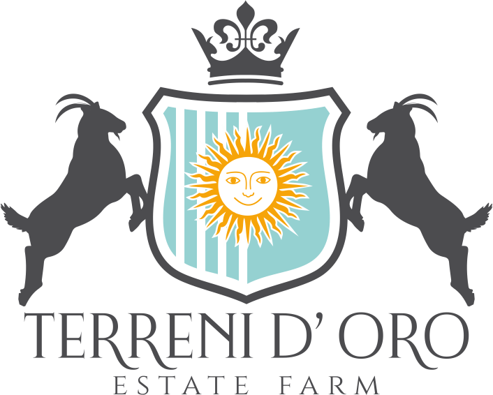 Download Terreni D' Oro - Graphic Design PNG Image with No Background ...