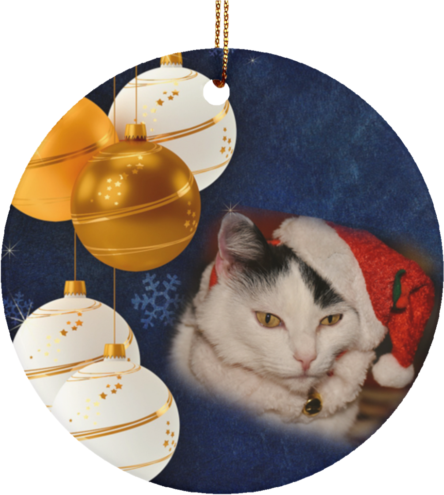Cat Ornaments Black And - Ethi Pike: Christmas Ornaments Notebook; Paperback; (1024x1024), Png Download