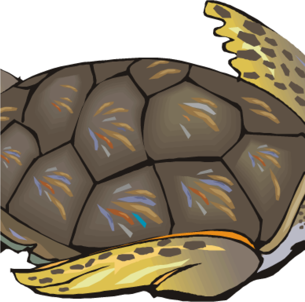 Download Sea Turtle Clipart Sea Turtle Clip Art Free Clipart - Clip Art ...