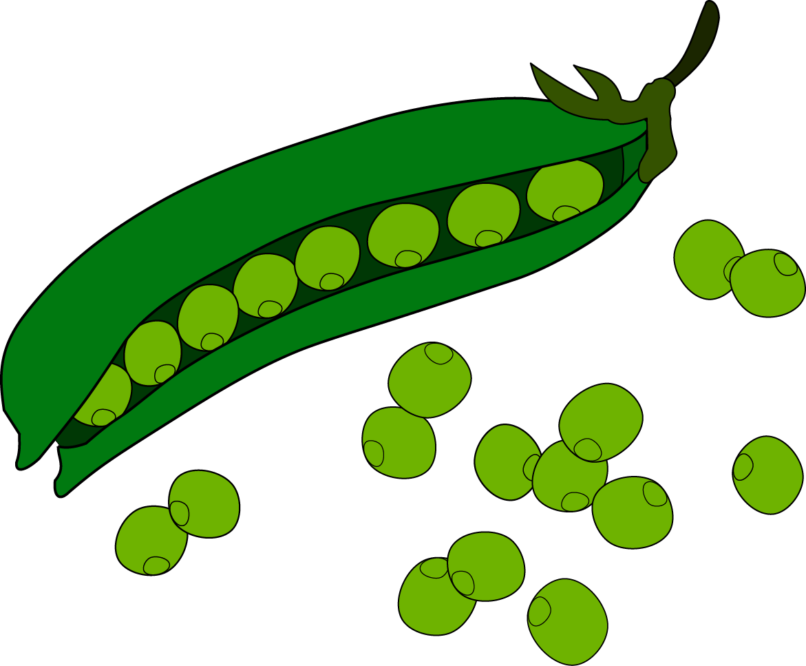 Download Pea Fruit Clip Art えん どう 豆 イラスト Png Image With No Background Pngkey Com