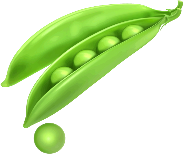 Peas Png Image Free Download Searchpng - رسم فاصولياء خضراء - Free ...