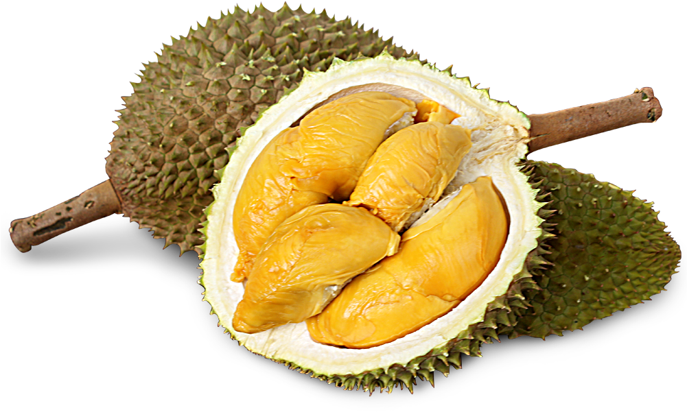 Download Durian Png Png Image With No Background Pngkey Com