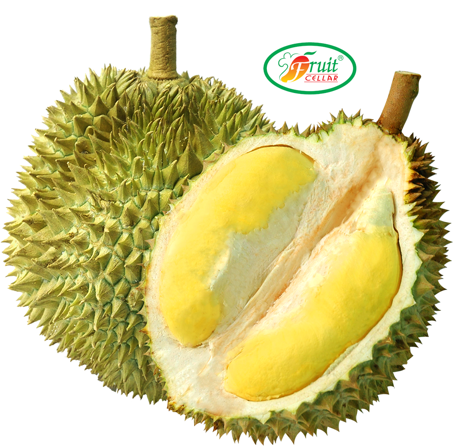 Download B Durian B Durian Png Image With No Background Pngkey Com