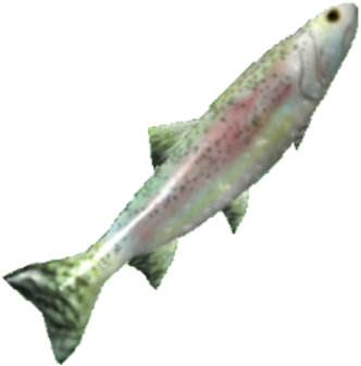 Download Trout PNG Image with No Background - PNGkey.com