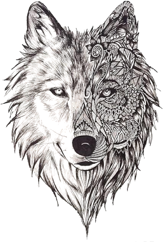 Download Bilderesultat For Mandala Wolf Tattoo - Wolf Face Tattoo PNG ...